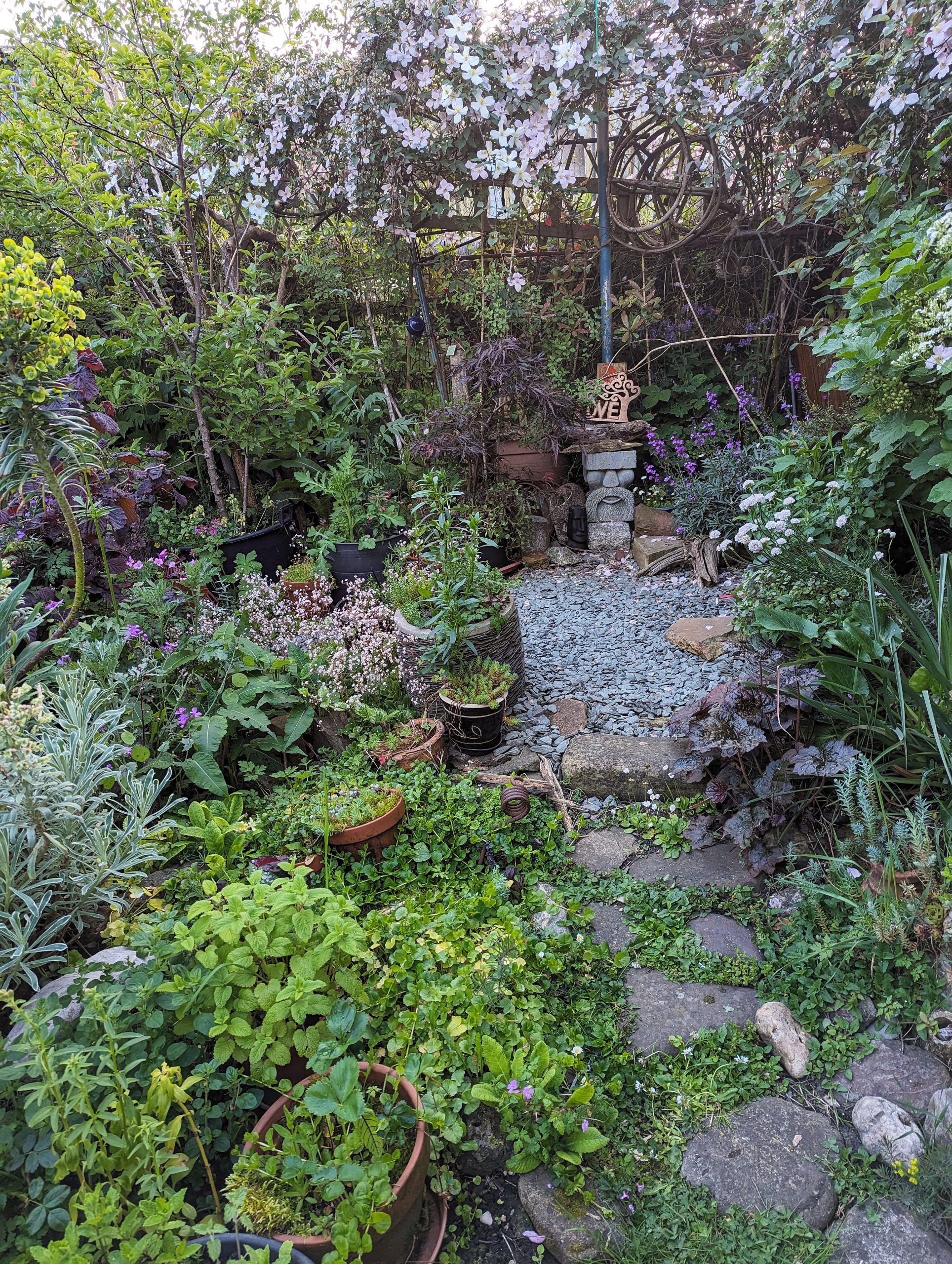 Great Clifton Garden 3