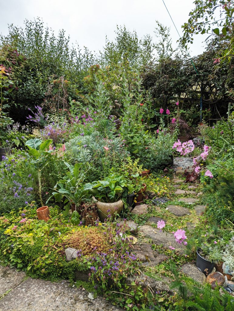 Great Clifton Garden 1